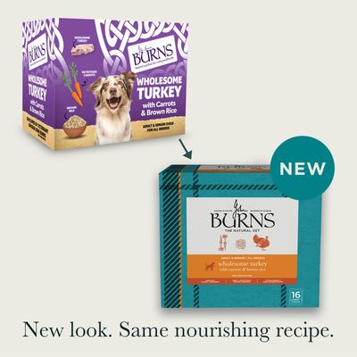 Burns Wholesome Turkey with Carrots & Brown Rice - Bumper Box: 16 x 395g