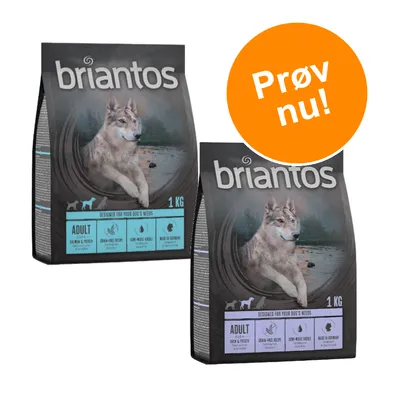 To poser Briantos hundefoder 1 kg. Synlig tekst: ADULT, GRAIN-FREE RECIPE, SEMI-MOIST KIBBLE, MADE IN GERMANY. Orange cirkel med teksten: Prøv nu!