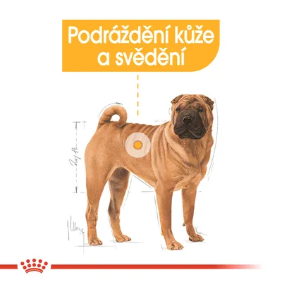 Podráždění kůže a svědění – ilustrace psa s vyznačeným místem na boku, zvýrazněný text v horní části obrázku.