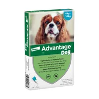 Advantage® 100 voor Honden 4 - 10 kg - 4 Pipetten - BE