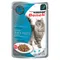 Super Benek Filets in Soße 28 x 85 g Forelle