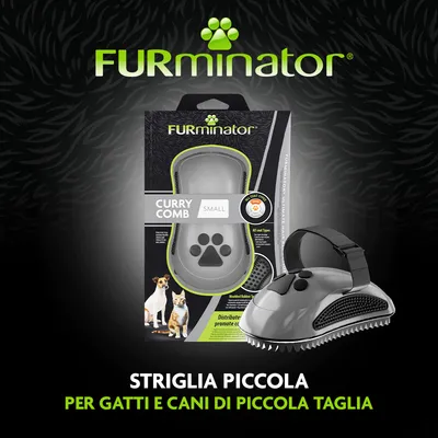 furminator Curry Comb Small, Striglia piccola per gatti e cani di piccola taglia. Immagine del prodotto con confezione e pettine, adatta a tutti i tipi di pelo. furminator Curry Comb Small, Striglia piccola per gatti e cani di piccola taglia. Immagine del prodotto con confezione e pettine, adatta a tutti i tipi di pelo.