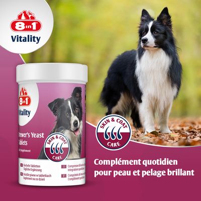 8in1 Vitality Brewer's Yeast Tablets, Skin & Coat Care, complément quotidien pour peau et pelage brillant, boîte avec photo de chien noir et blanc, texte en anglais et français visible.
