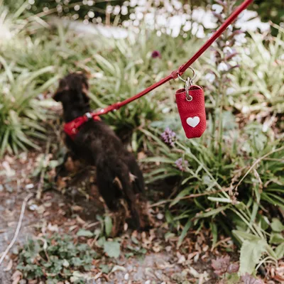 Petit sac rouge avec cœur blanc accroché à une laisse, chien portant un harnais rouge en arrière-plan dans un jardin.