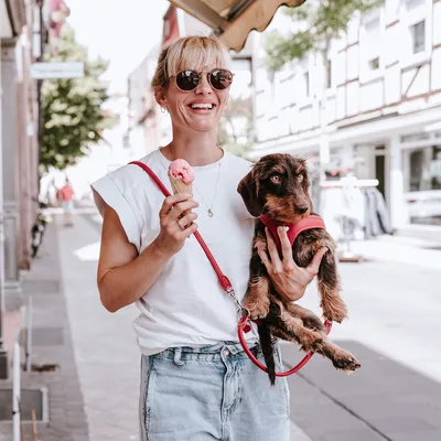 Personne tenant un chien de petite taille avec harnais et laisse rouges, dans une rue commerçante. La personne porte un t-shirt blanc et tient une glace à la main.