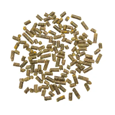 Pellets de alimento verdes, de forma cilíndrica, sobre un fondo blanco, distribuidos de manera suelta. Muestra la forma y el tamaño del producto. Pellets de alimento verdes, de forma cilíndrica, sobre un fondo blanco, distribuidos de manera suelta. Muestra la forma y el tamaño del producto.