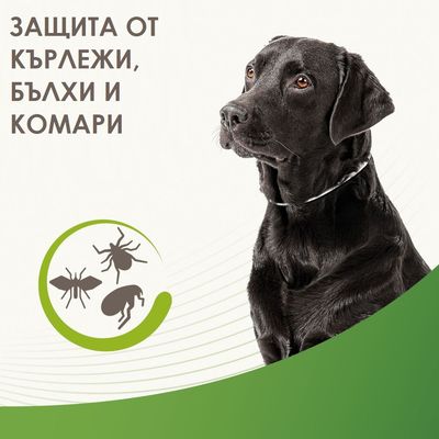 Beaphar нашийник против кърлежи и бълхи, отразяващ, защита от кърлежи, бълхи и комари, до 4 месеца защита, за кучета над 12 седмици, дължина 65 см, сребрист/черен.