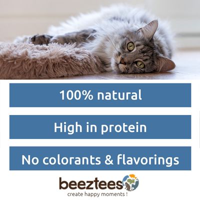 Beeztees sušené ryby, bez farbív a aróm. Balenie s viditeľnými sušenými malými rybami. Text: Dried Fish, Gedroogde visjes, Trockenfisch.