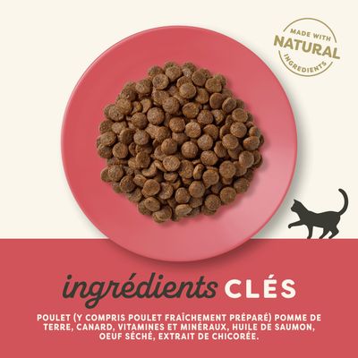 Ingrédients principaux : poulet (y compris poulet fraîchement préparé), patate, canard, vitamines et minéraux, huile de saumon, œuf séché, extrait de chicorée. Préparé avec des ingrédients naturels.