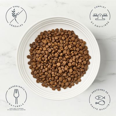 Sac de croquettes pour chat encore Adult Complete, 800 g, poulet, sans céréales, 80 % chicken, 20 % vegetables and natural extracts, 100 % natural ingredients, image d’un chat sur l’emballage.