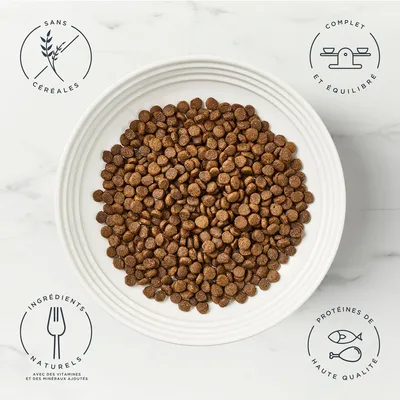 Encore poulet pour chat - 2 x 800 g