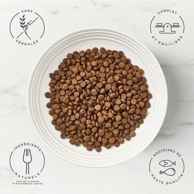 Sachet de croquettes pour chat encore Adult Complete, 800 g, poulet avec saumon, sans céréales, 80 % poulet et saumon, 20 % extraits naturels, 100 % ingrédients naturels.