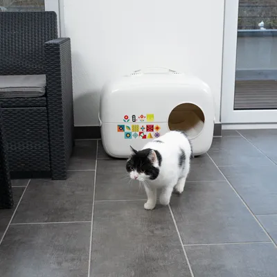Vit kattlåda med färgglada mönster, oval ingång. Svartvit katt står framför på grått klinkergolv.