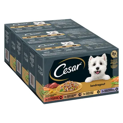 Cesar landragout koiran märkäruoka, 8 x 150 g annospakkaukset. Pakkauksessa näkyy lautasellinen ruokaa, porkkanoita ja herneitä sekä tuotetiedot useilla kielillä.