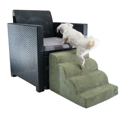 Petit chien blanc montant un escalier pour animaux en tissu vert à trois marches, placé devant un fauteuil en résine tressée noire avec coussin gris.
