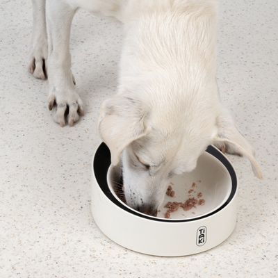 Bol alb pentru hrană cu afișaj digital integrat, afișează greutatea de 1000g. Marcă: Trixie.