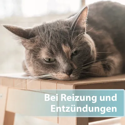 Bei Reizung und Entzündungen.
