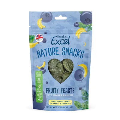 Burgess Excel Nature Snacks Fruity Feasts - 60g