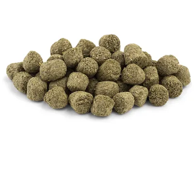 Haufen von grünen, gepressten Futterpellets. Sichtbare Struktur und kompakte Form.