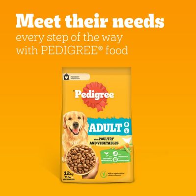 Pedigree Adult Complete with Poultry & Vegetables