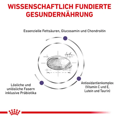 Wissenschaftlich fundierte Gesunderhaltung: Essentielle Fettsäuren, Glucosamin, Chondroitin, lösliche und unlösliche Fasern mit Präbiotika, Antioxidantienkomplex (Vitamin C, E, Lutein, Taurin).