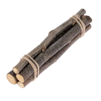 TIAKI Bastoncini da sgranocchiare alla nocciola - set da 4 pz, ca. 15 cm TIAKI Bastoncini da sgranocchiare alla nocciola - set da 4 pz, ca. 15 cm