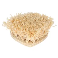 TIAKI snuffelplank hart voor kleine dieren - ca. L 30 x B 30 x H 10 cm