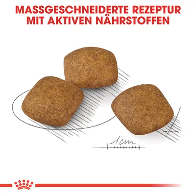 Trois croquettes carrées, indication de taille 1 cm, texte en allemand : MASSGESCHNEIDERTE REZEPTUR MIT AKTIVEN NÄHRSTOFFEN