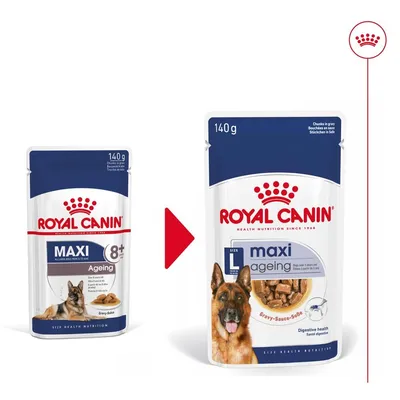 Две опаковки Royal Canin Maxi Ageing 140 г за възрастни кучета, показващи промяна в дизайна. Видими са марката, продуктът и изображение на куче на новата опаковка.