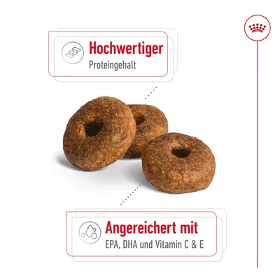 Hochwertiger Proteingehalt. Angereichert mit EPA, DHA und Vitamin C & E.