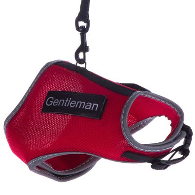 Harnais et laisse XCat Trixie avec sticker pour chat rouge