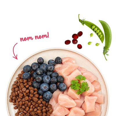 Teller mit Trockenfutter, frischem Hühnerfleisch, Blaubeeren, daneben Erbsenschote und Cranberries. Text: nom nom!