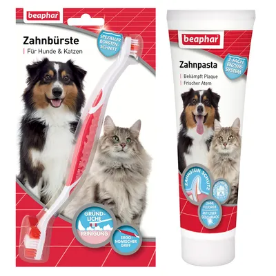 Beaphar tandbørste og tandpasta til hunde og katte. Særligt børstesnit, grundig rengøring, ergonomisk greb. Bekæmper plak, frisk ånde, uden fluorid, lever-smag.