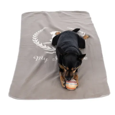 Dog lying on a grey blanket with the inscription 'My Style' and playing with a colourful ball.