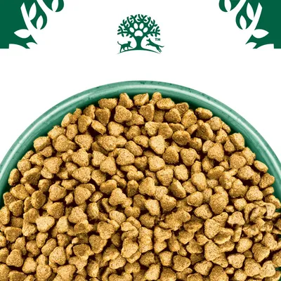 Bowl filled with dry pet food kibble, shown close up to display the shape and texture of the pieces.