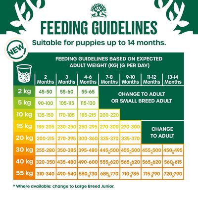 Feeding guidelines chart for puppies up to 14 months, showing daily gram amounts by age and expected adult weight from 2 kg to 55 kg. Advises when to change to adult food.