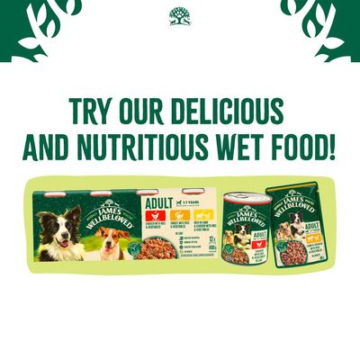 Promotional image showing James Wellbeloved adult wet food with chicken, turkey, and lamb varieties. Text reads: Try our delicious and nutritious wet food!