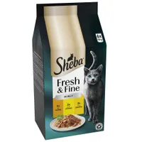 Sheba Fresh & Fine in Jelly Mini Pouches 6 x 50g - Chicken, Turkey & Poultry in Jelly