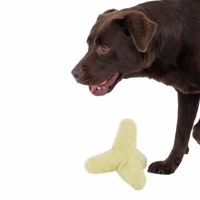 Câine maro lângă o jucărie de pluș galbenă cu trei vârfuri. Jucărie pentru animale de companie vizibilă.