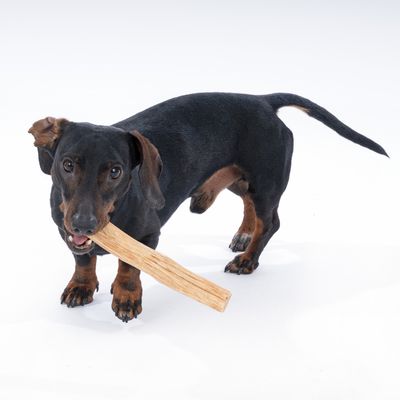 Bastoncino in legno con venature naturali e logo inciso 'N'.