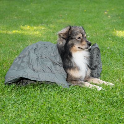 Cane sdraiato su un prato sotto una coperta grigia utilizzata come accessorio da esterno.