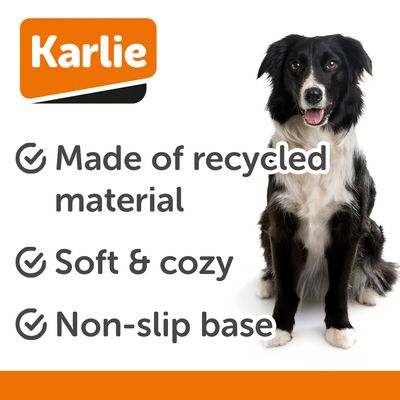 Szürke kisállatágy párnázott oldalakkal és téglalap alakban, alkalmas kényelemre és pihenésre.