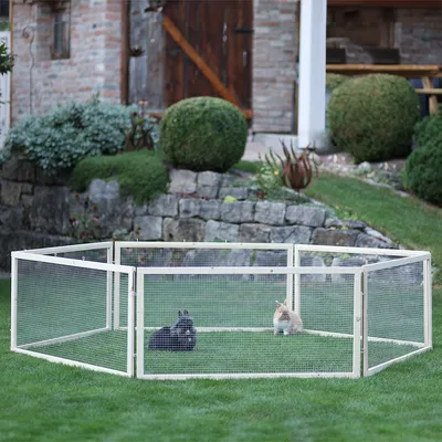 Enclos extérieur octogonal en métal grillagé, posé sur pelouse, avec deux lapins à l’intérieur. Convient pour petits animaux. Aucun texte ou marque visible. Enclos extérieur octogonal en métal grillagé, posé sur pelouse, avec deux lapins à l’intérieur. Convient pour petits animaux. Aucun texte ou marque visible.