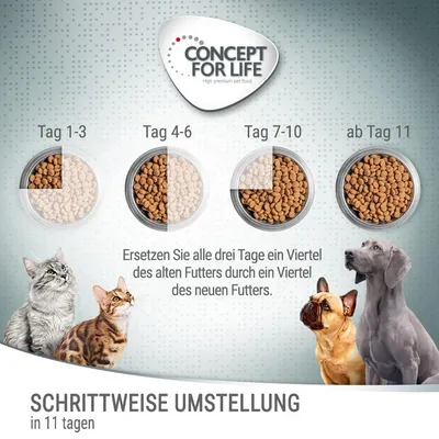 Concept for Life stapsgewijze voeromschakeling in 11 dagen, met vier voerbakken en tekst in het Duits over geleidelijke vervanging van oud door nieuw voer. Katten en honden zichtbaar.