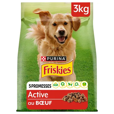 Sac de croquettes Purina Friskies Active au bœuf, 3 kg, mention 5 promesses, visuel de croquettes et pictogrammes sur l’emballage.