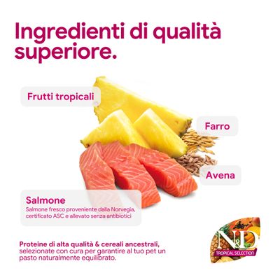 Componenti: frutti tropicali, farro, avena, salmone norvegese fresco certificato ASC senza antibiotici. Proteine di alta qualità e cereali antichi per pasti equilibrati.
