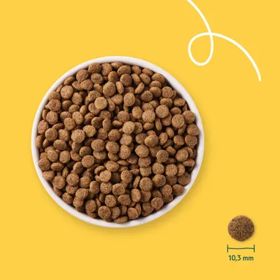 Schale mit braunen Trockenfutter-Pellets, daneben ein einzelnes Pellet mit Maßangabe 10,3 mm Durchmesser.