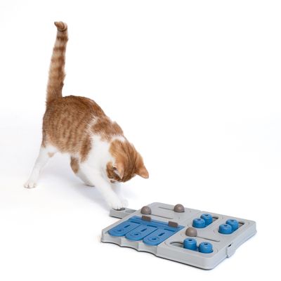 Gato blanco y marrón juega con un juguete interactivo de plástico gris y azul con varios mecanismos deslizantes y huecos.