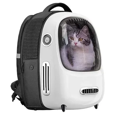 Backpack with viewing window and ventilation slots, cat visible inside. White-black design with carrying handle and mesh sides.