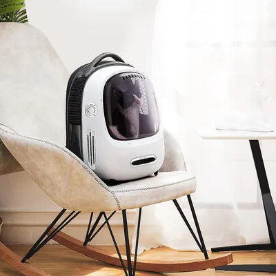 Portable pet backpack in white with viewing window, ventilation slots and ergonomic handle. Cat sitting inside the backpack.